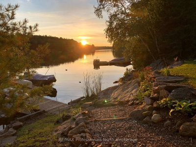 1333 Nestle Trail • Highlands East, ON photo 3