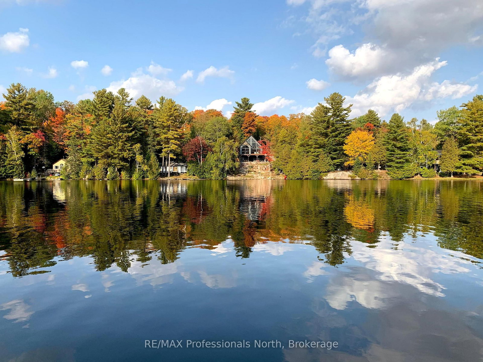 1333 Nestle Trail • Highlands East, ON photo 44