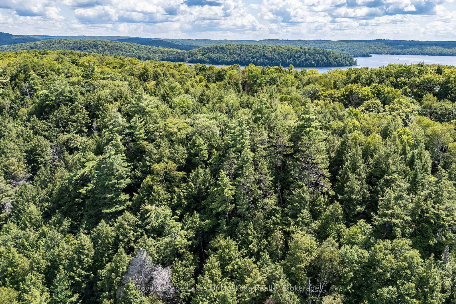 14170 Kawagama Long Island • Algonquin Highlands, ON photo 41