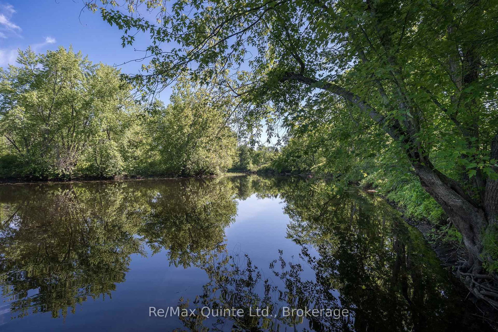 74 French Settlement Lane • Tweed, ON photo 26