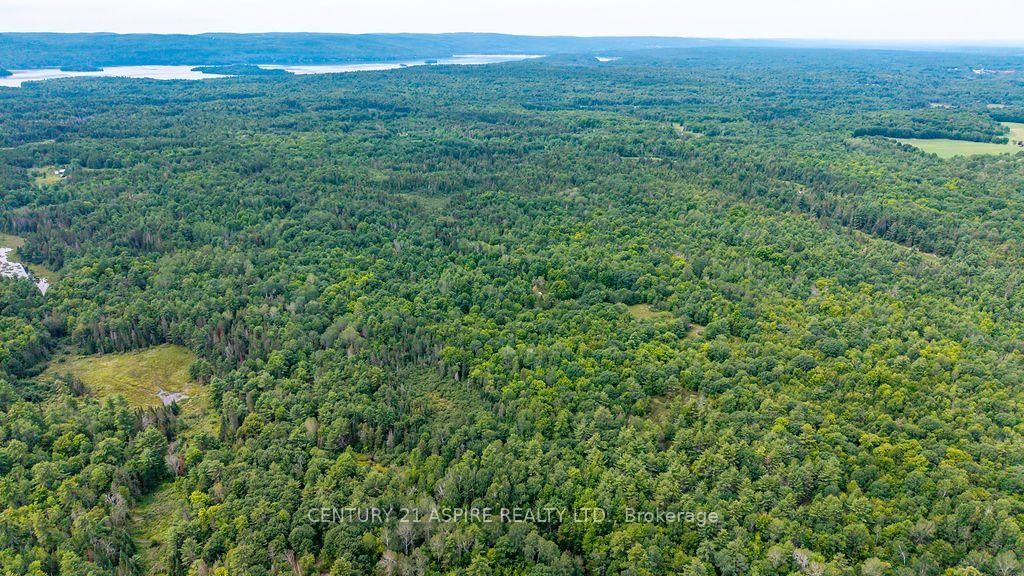 00 O'Brien Road • Eganville, ON photo 17