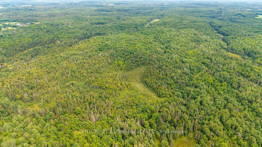 00 O'Brien Road • Eganville, ON photo 21