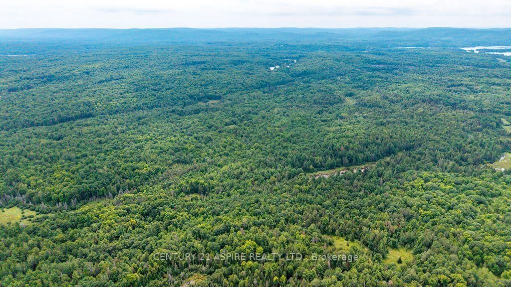 00 O'Brien Road • Eganville, ON photo 29
