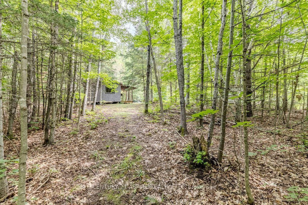 00 O'Brien Road • Eganville, ON photo 5
