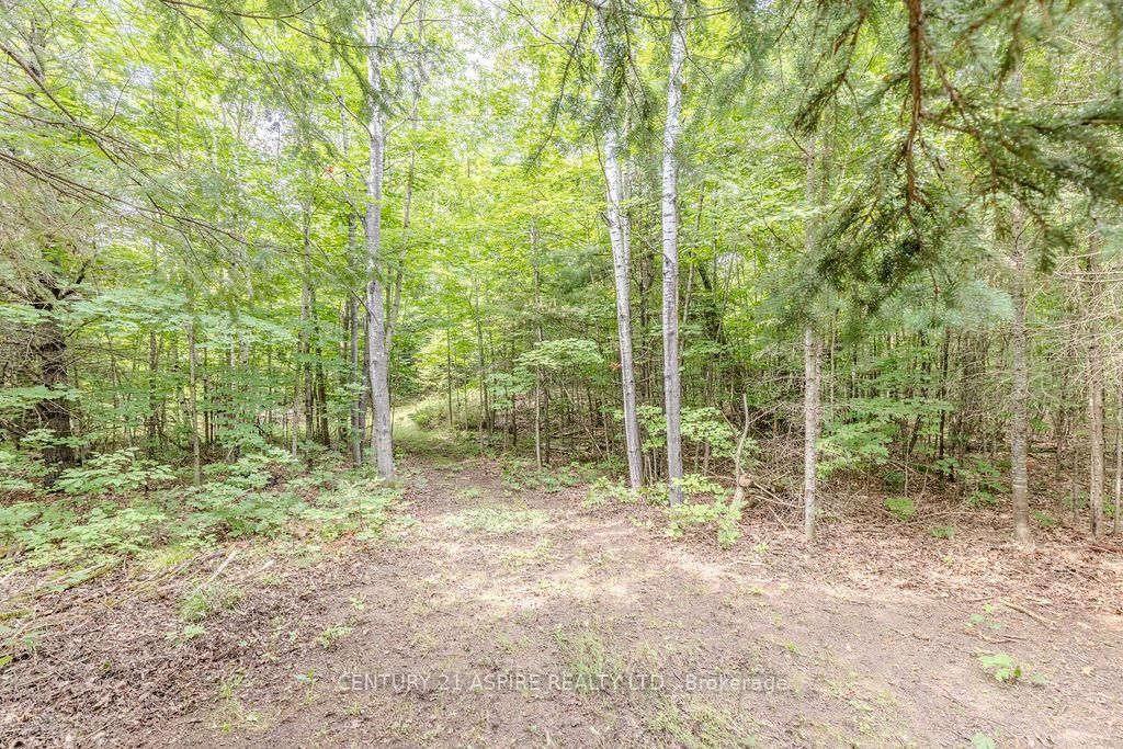 00 O'Brien Road • Eganville, ON photo 7