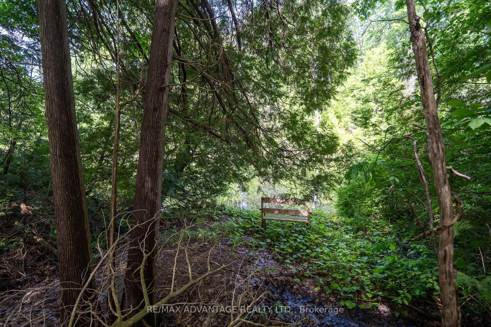 263 Ontario Street S • Lambton Shores, ON photo 40