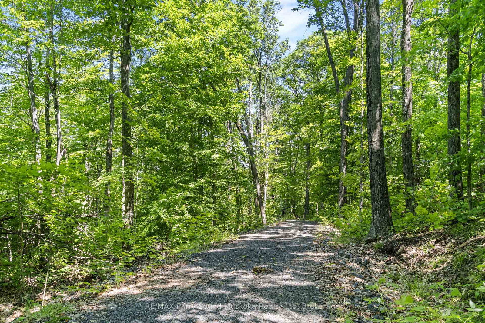 38 Fun Cottage Lane • McDougall, ON photo 11