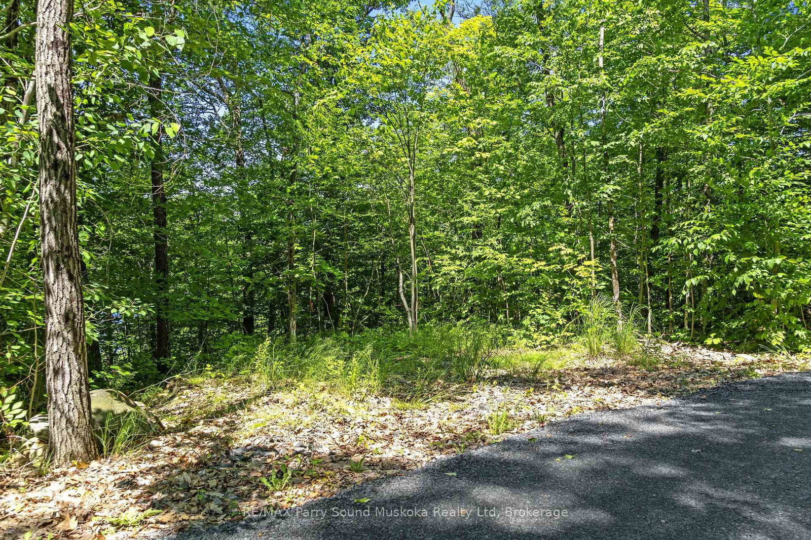 38 Fun Cottage Lane • McDougall, ON photo 13