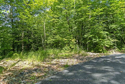 38 Fun Cottage Lane • McDougall, ON photo 9