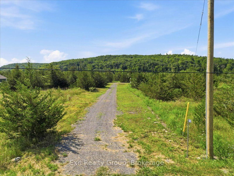 937 Rosebush Road