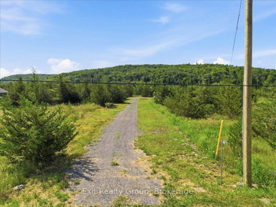 937 Rosebush Road • Hastings, ON photo 3