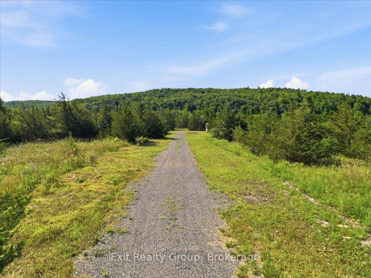 937 Rosebush Road • Hastings, ON photo 4