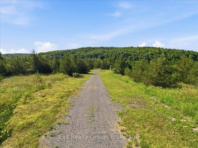 937 Rosebush Road • Hastings, ON photo 4