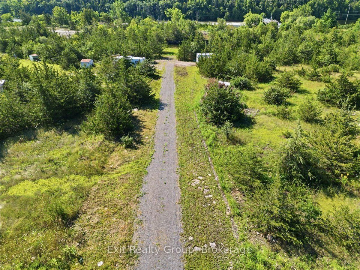 937 Rosebush Road • Hastings, ON photo 5