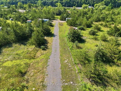 937 Rosebush Road • Hastings, ON photo 5