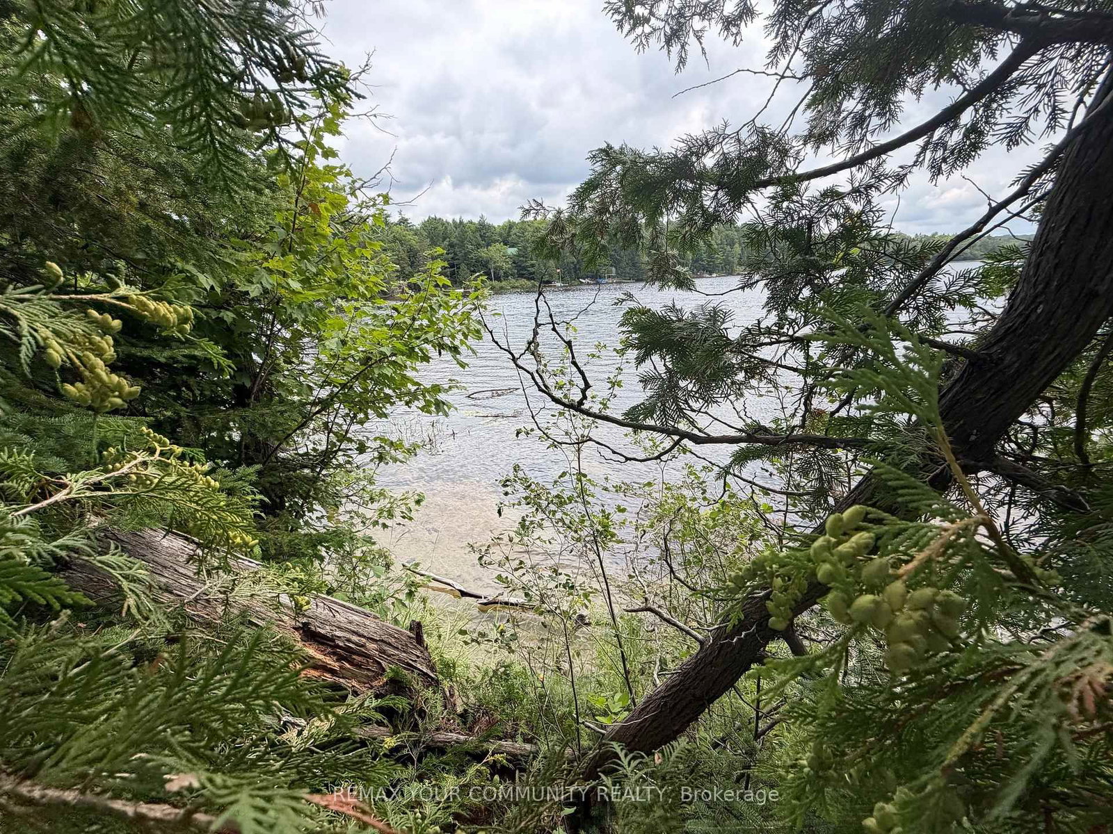 TBD McPhail Road • Algonquin Highlands, ON photo 12