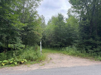 TBD McPhail Road • Algonquin Highlands, ON photo 4