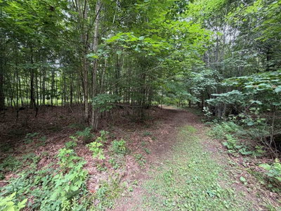 TBD McPhail Road • Algonquin Highlands, ON photo 8