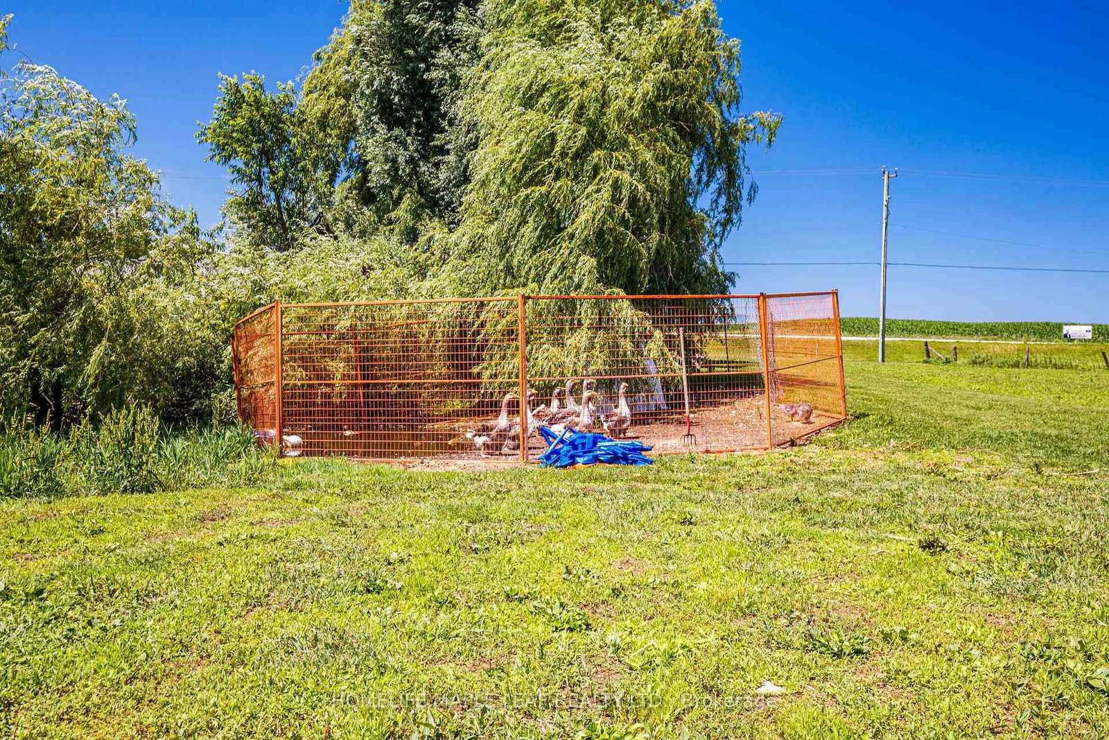 585437 County Road • #17 • Melancthon, ON photo 41