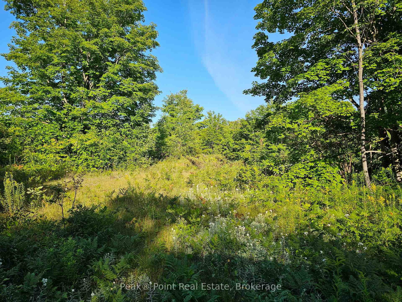 725 Purple Valley Road • South Bruce Peninsula, ON photo 6
