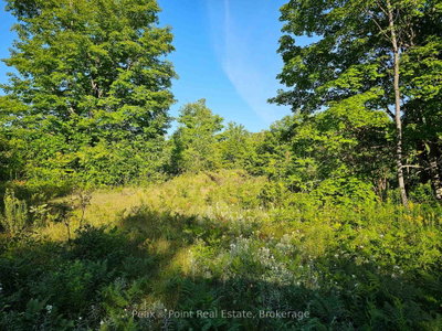 725 Purple Valley Road • South Bruce Peninsula, ON photo 6