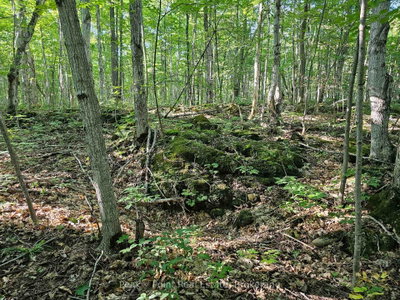 725 Purple Valley Road • South Bruce Peninsula, ON photo 9