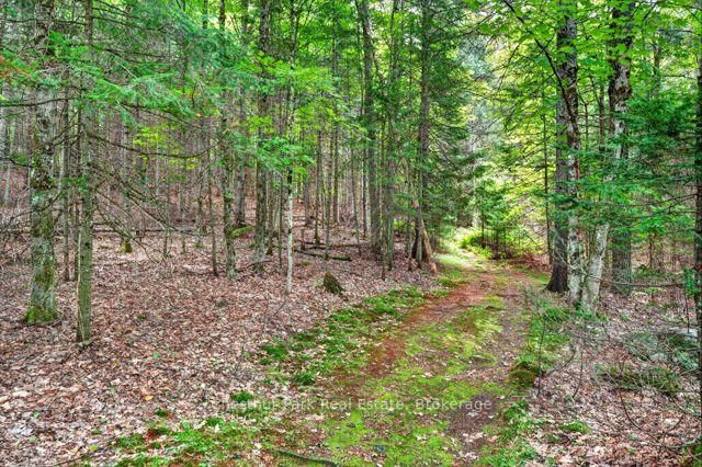 1039 South Waseosa Lake Road • Huntsville, ON photo 37