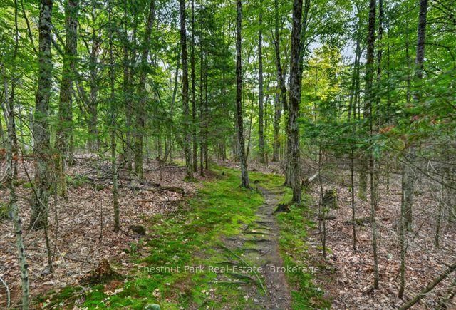 1039 South Waseosa Lake Road • Huntsville, ON photo 40