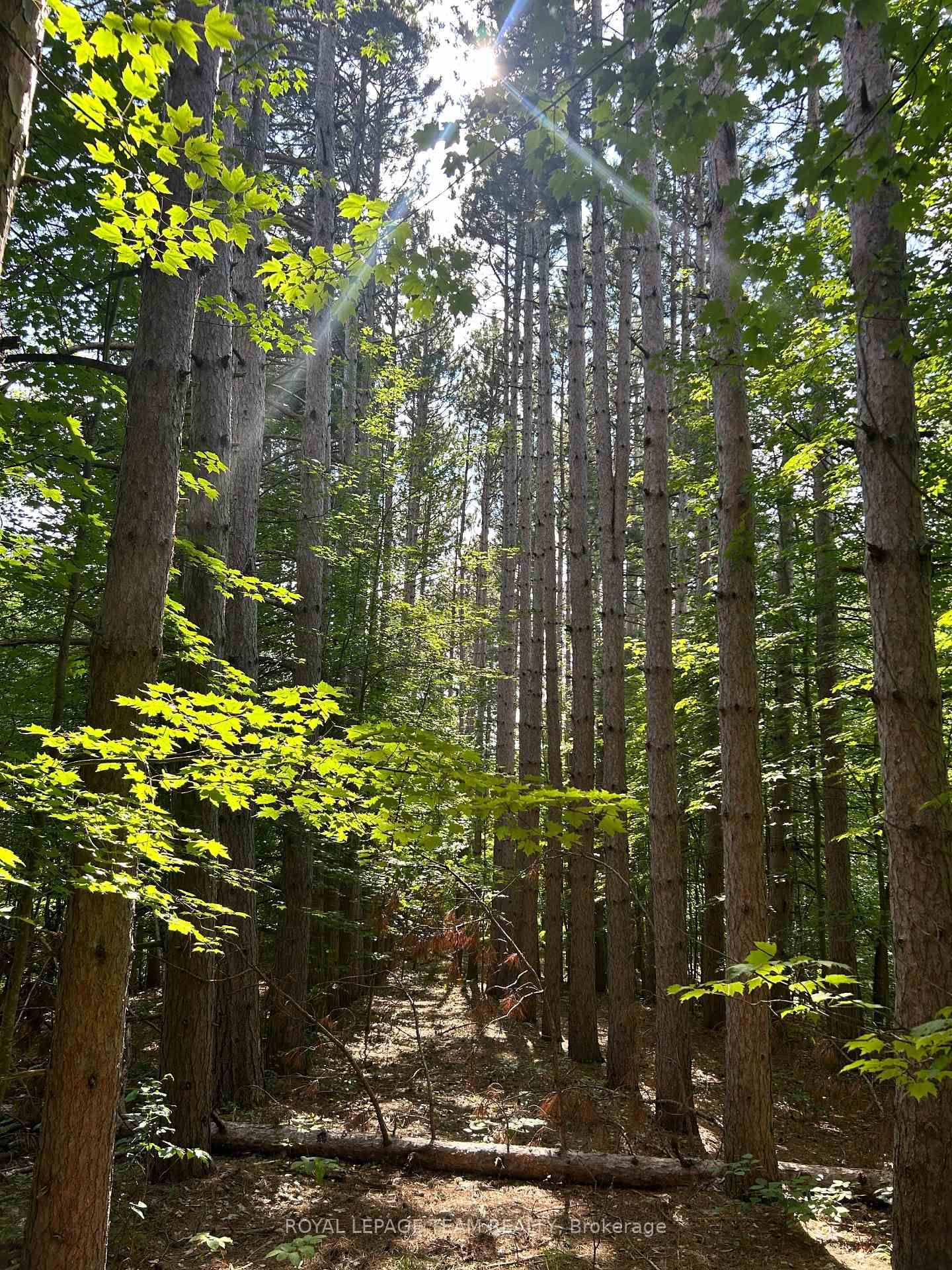 Lot 7 Pond Road • Maberly, ON photo 1