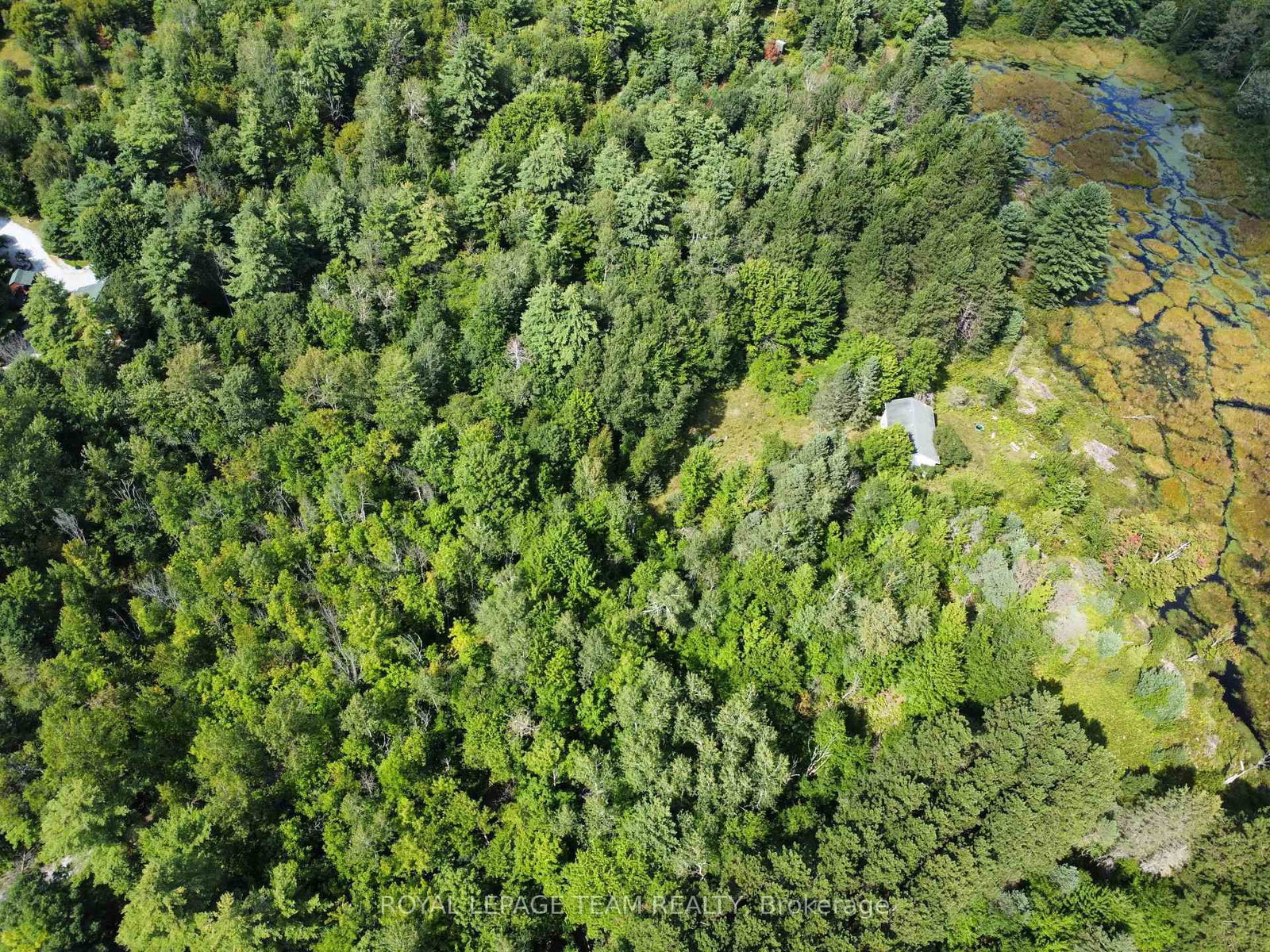 Lot 7 Pond Road • Maberly, ON photo 13