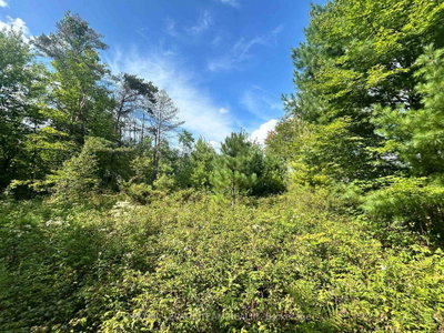 Lot 7 Pond Road • Maberly, ON photo 5