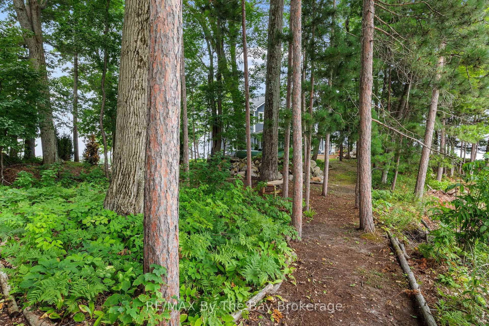 31 Gidley Turnpike • Georgian Bay, ON photo 47