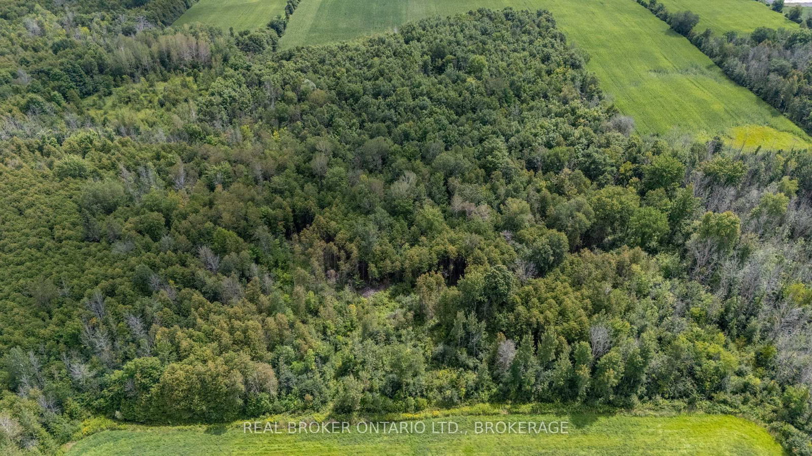 16610 Sixth Road • North Stormont, ON photo 37
