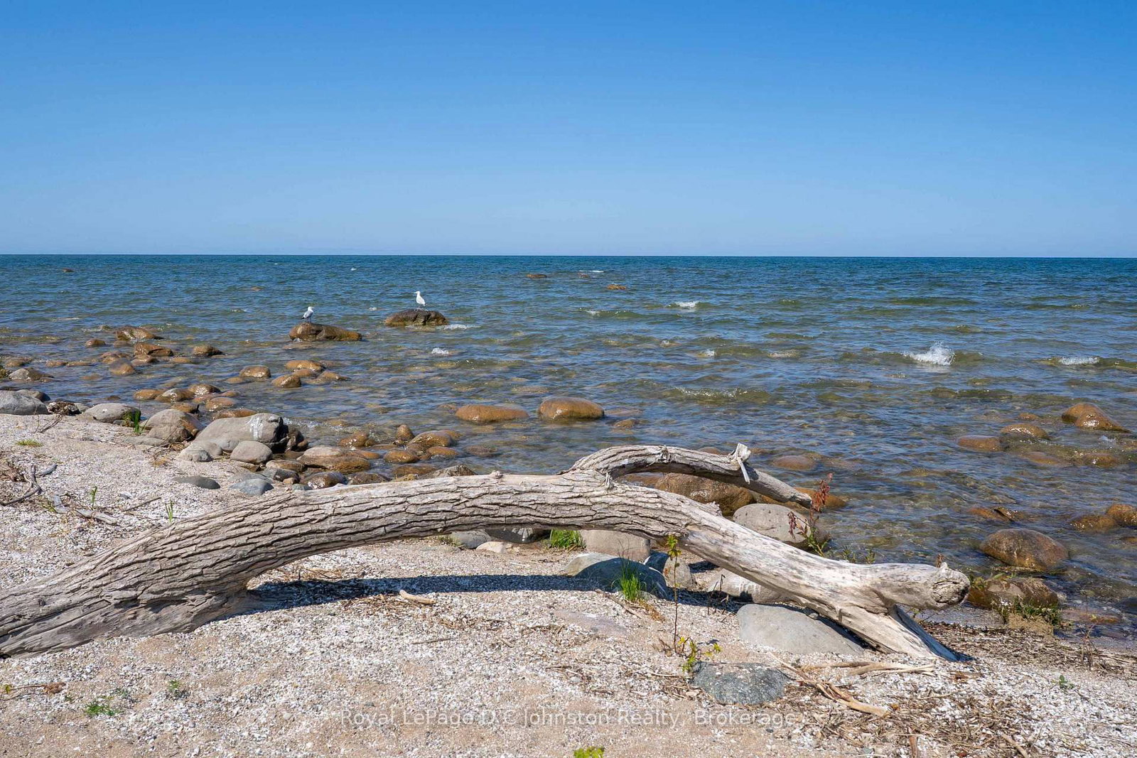 254 Blanchfield Road • Saugeen Shores, ON photo 47