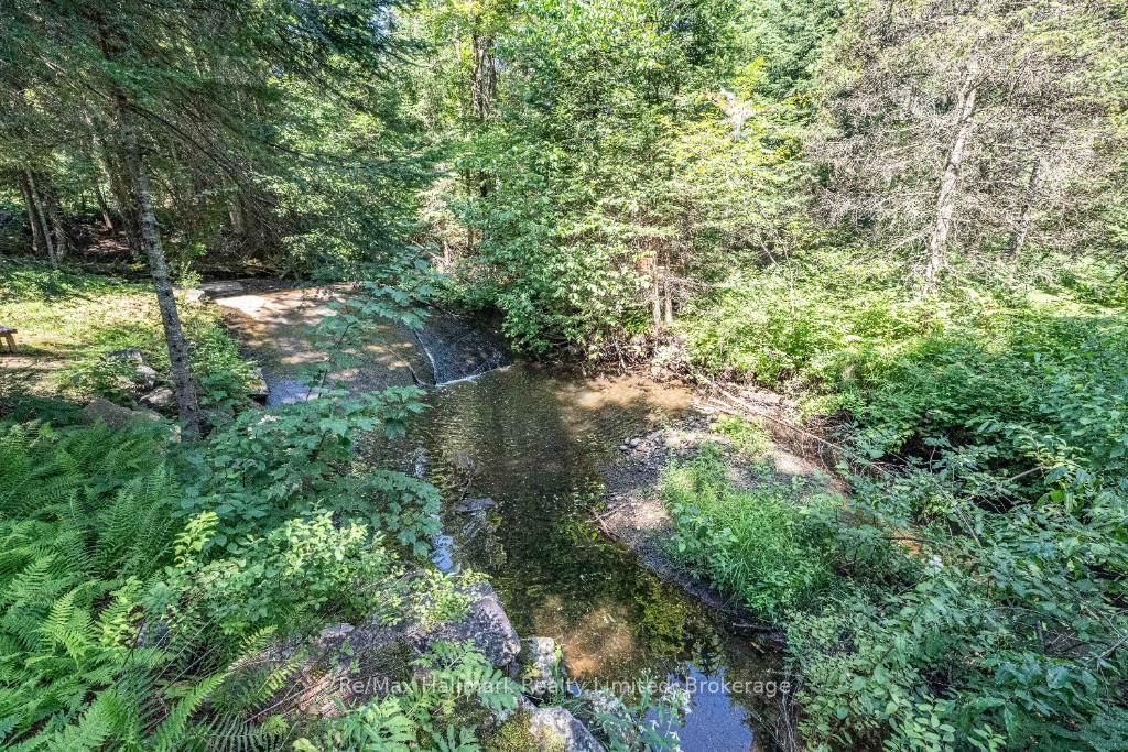 Macaulay, Bracebridge photo 39