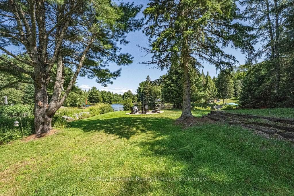 Macaulay, Bracebridge photo 42