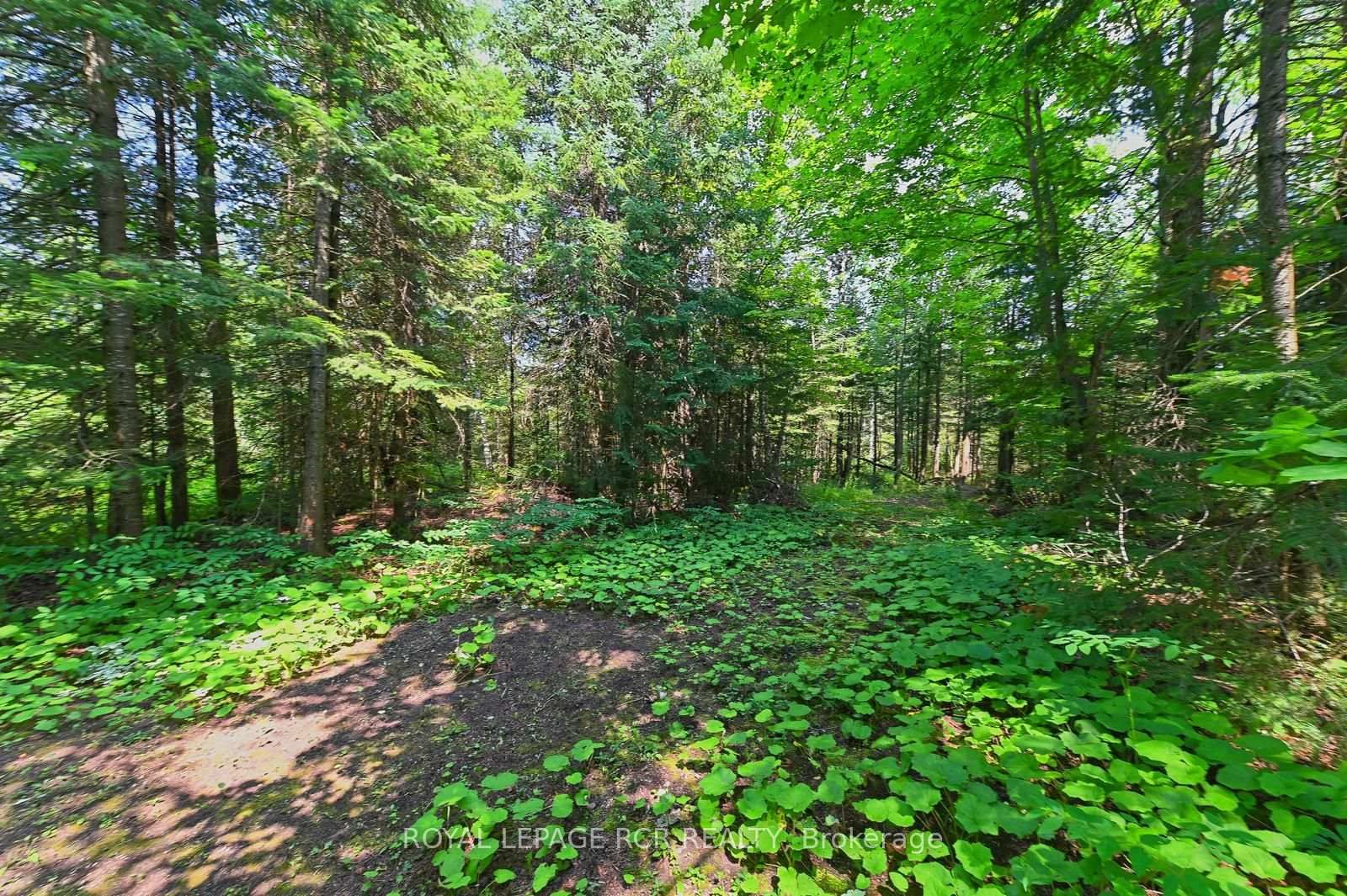 349805 4th Concession B Concession • Grey Highlands, ON photo 38