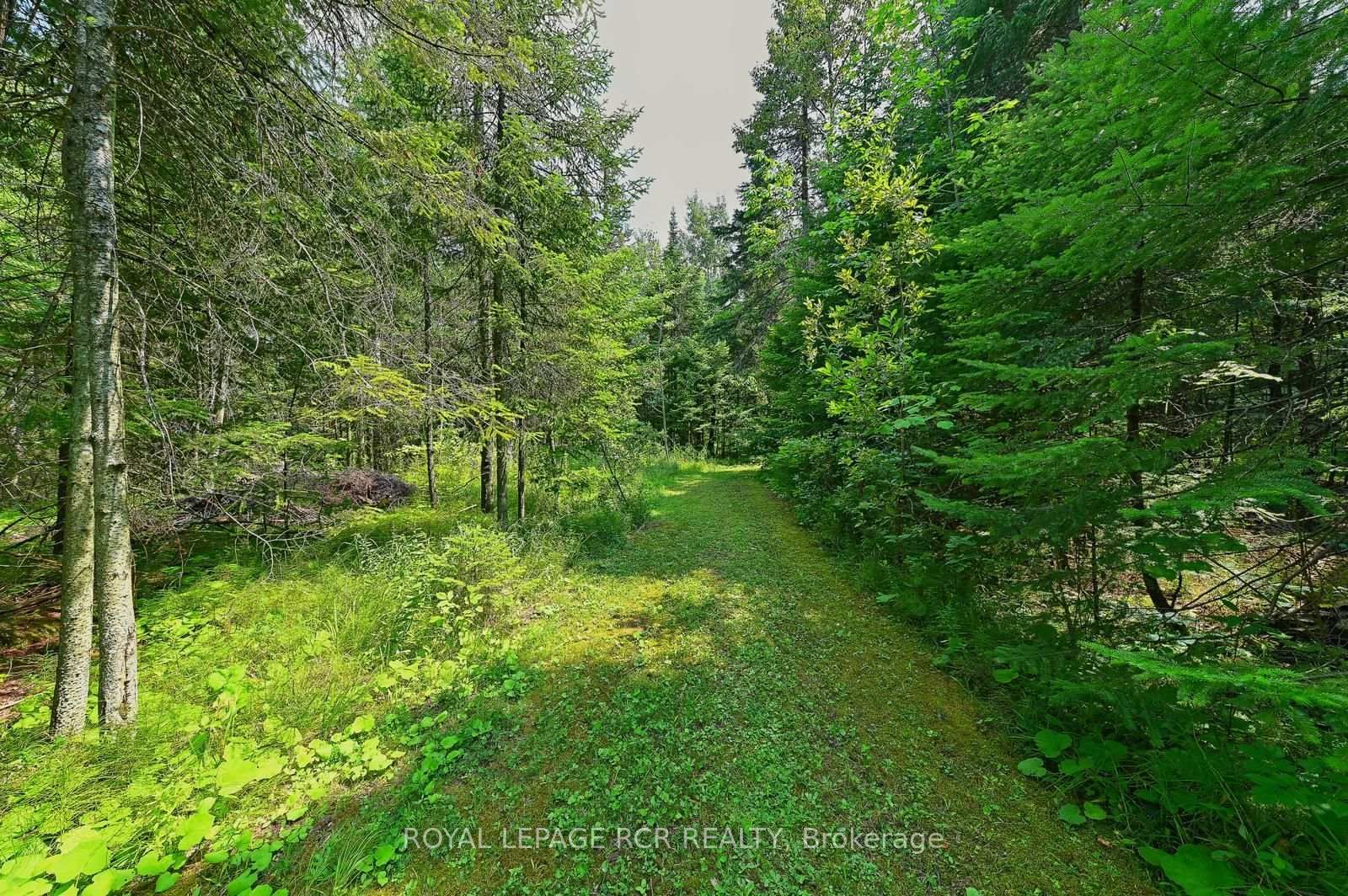 349805 4th Concession B Concession • Grey Highlands, ON photo 39