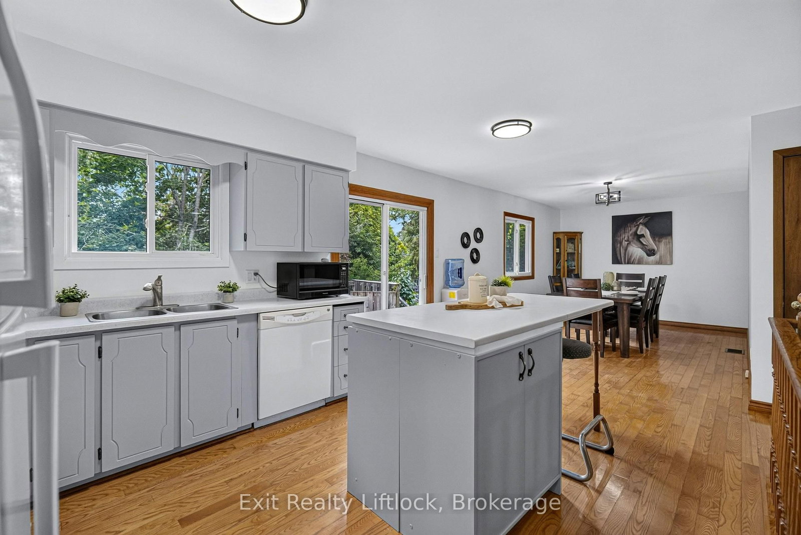 3 Basswood Street • Kawartha Lakes, ON photo 13