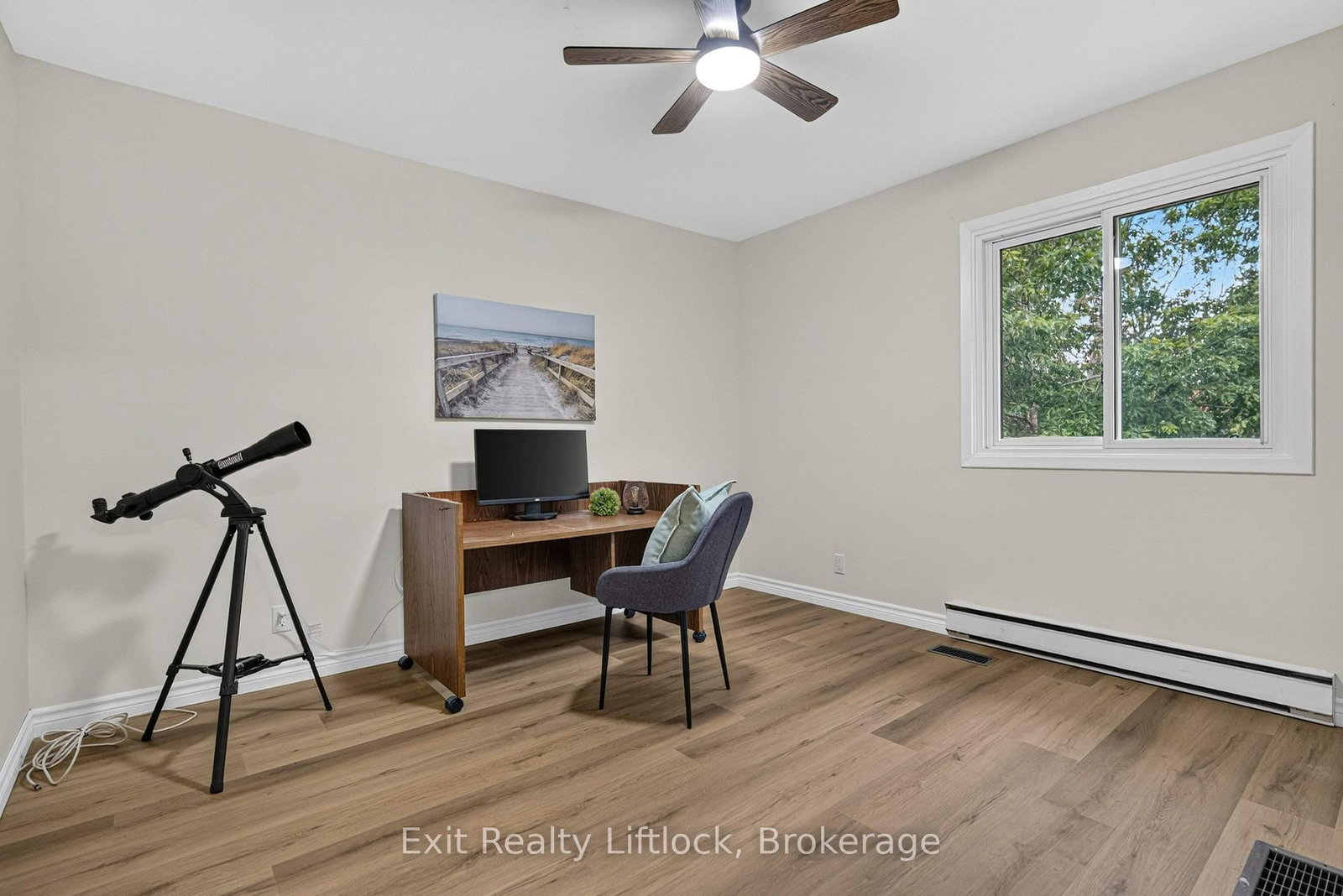 3 Basswood Street • Kawartha Lakes, ON photo 19