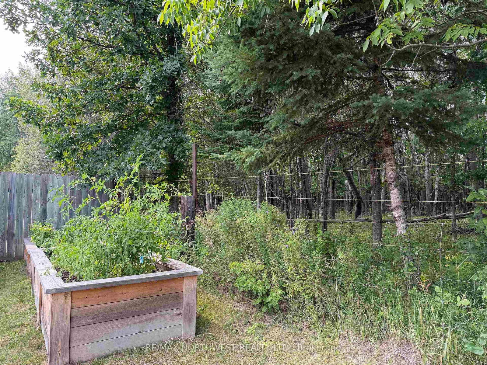 1708 Lyndy Place • Fort Frances, ON photo 38