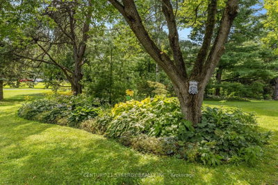955 Du Castor Road • The Nation, ON photo 3
