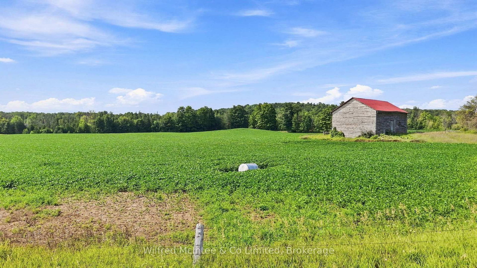 381612 CON 4 NDR Road • West Grey, ON photo 3