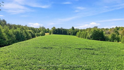 381612 CON 4 NDR Road • West Grey, ON photo 6
