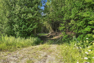 381612 CON 4 NDR Road • West Grey, ON photo 7
