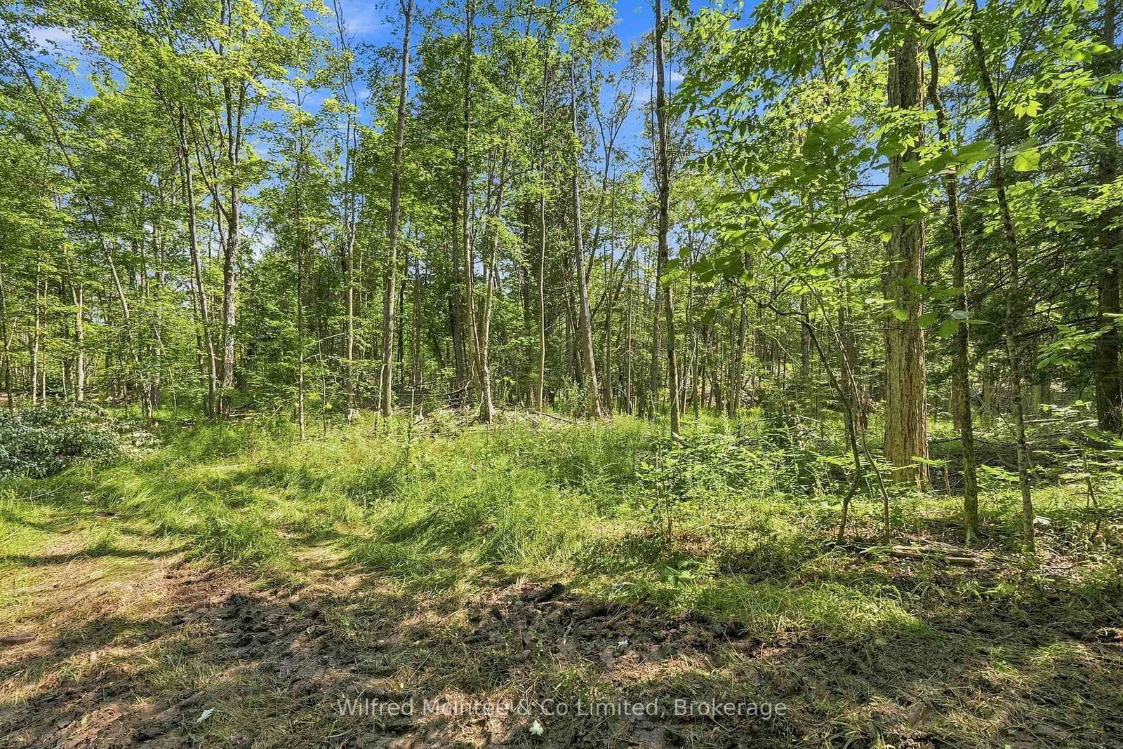 381612 CON 4 NDR Road • West Grey, ON photo 8
