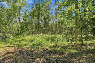 381612 CON 4 NDR Road • West Grey, ON photo 8