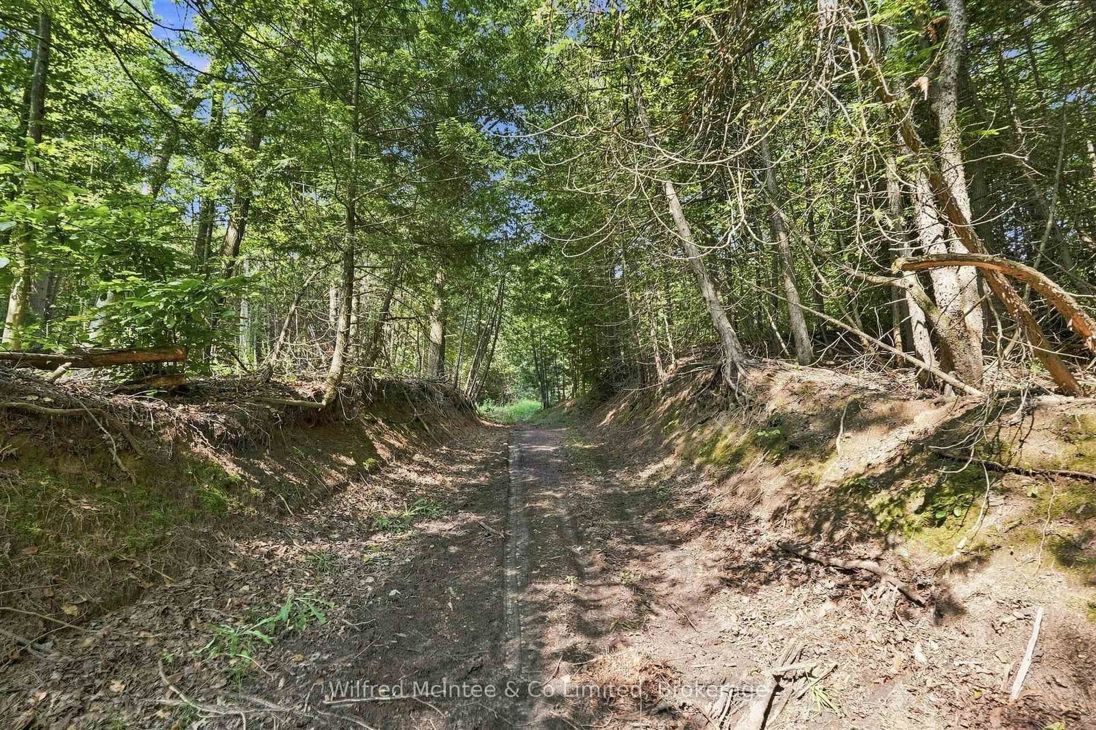 381612 CON 4 NDR Road • West Grey, ON photo 9