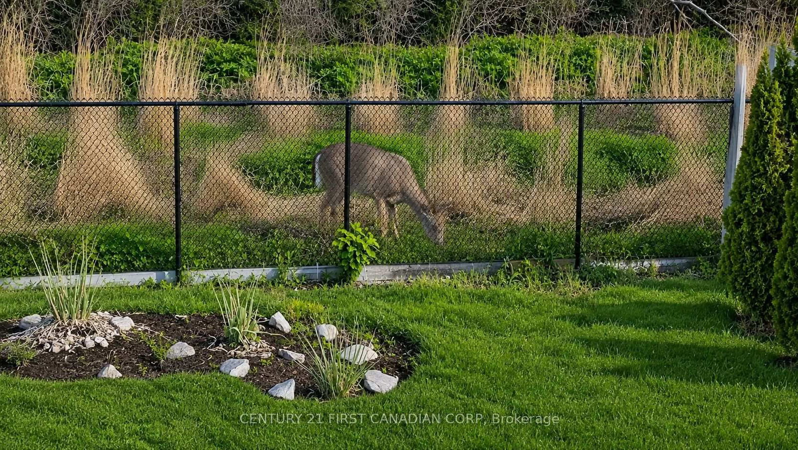 10 Birchall Lane • St. Thomas, ON photo 50