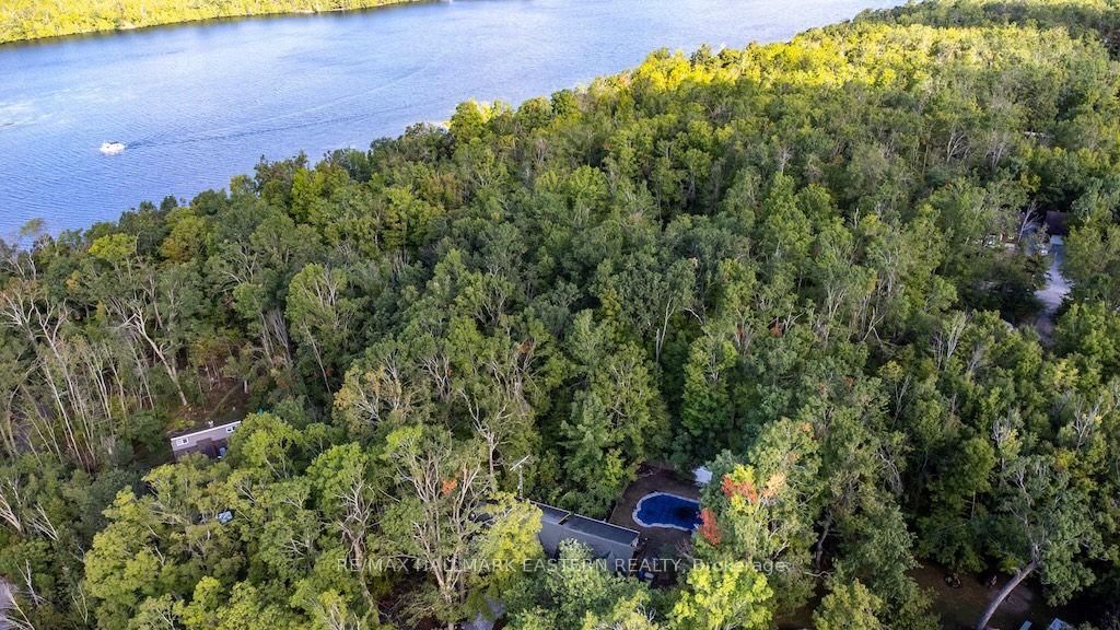 22 Carolina Court • Trent Lakes, ON photo 42